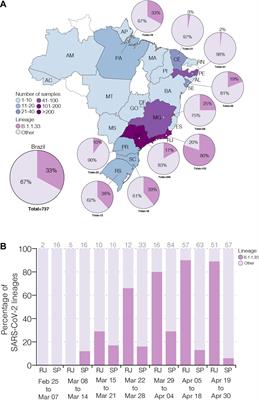 Evolutionary Dynamics and Dissemination Pattern of the SARS-CoV-2 Lineage B.1.1.33 During the Early Pandemic Phase in Brazil